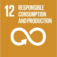 Sustainable Development Goals (SDGs):