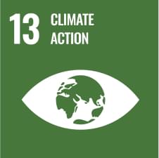 Sustainable Development Goals (SDGs):