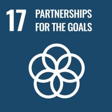 Sustainable Development Goals (SDGs):